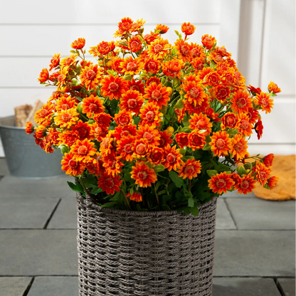 🌼- Artificial Outdoor Sunset Mums Flowers - UV resistant, Waterproof, Windproof