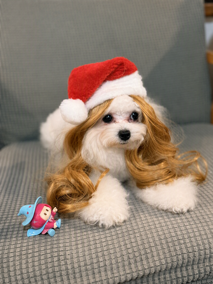 Personalized Fun Pet Wigs for Halloween & Dog Cosplay