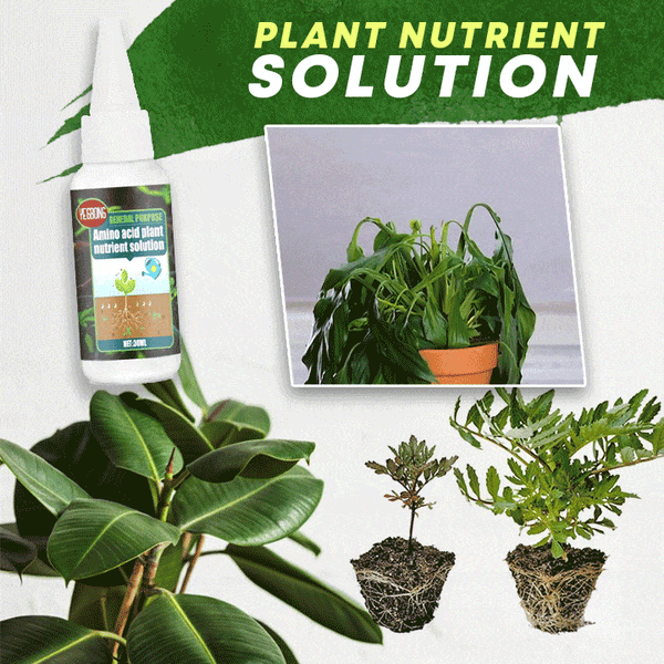 🥬🌻 BUY 1 GET 1 FREE! Organic Plant Nutrient – Essential minerals & amino acids. Healthier plants, happier balcony garden. 🏡💚