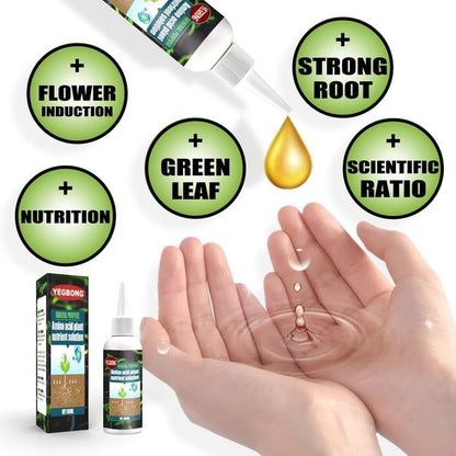 🥬🌻 BUY 1 GET 1 FREE! Organic Plant Nutrient – Essential minerals & amino acids. Healthier plants, happier balcony garden. 🏡💚