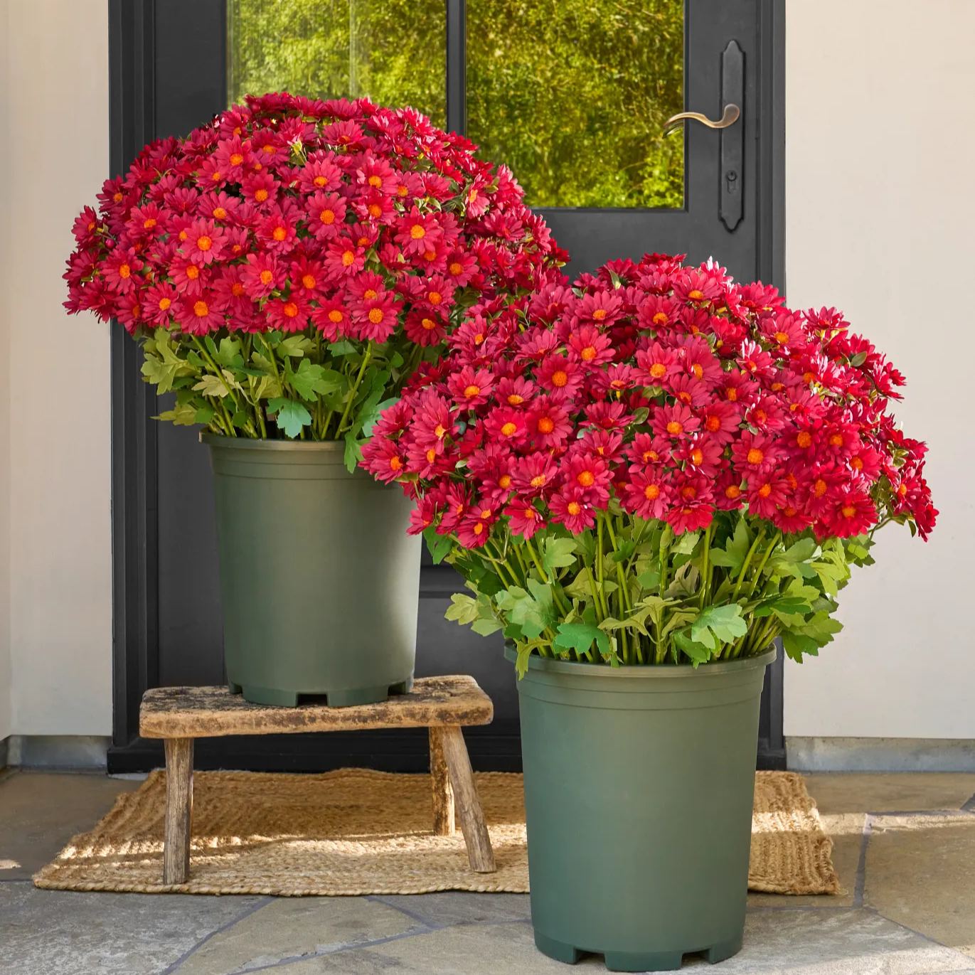 🌼- Artificial Outdoor Sunset Mums Flowers - UV resistant, Waterproof, Windproof