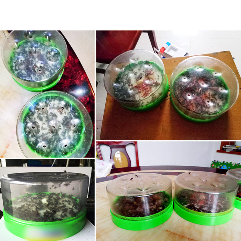 🪰 Reusable Non-Electric Fly Trap — Free your home from unwanted insects! 🛑