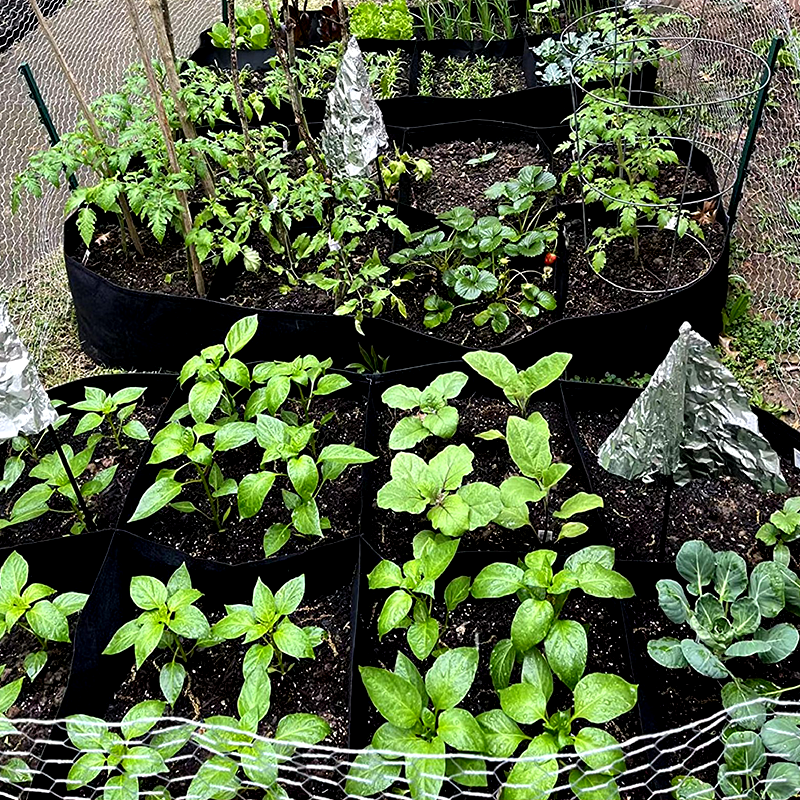 🌱Divided Fabric Grow Bags for Plants