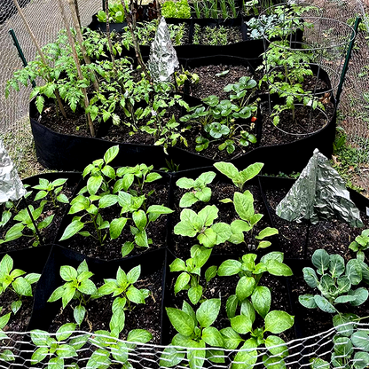 🌱Divided Fabric Grow Bags for Plants