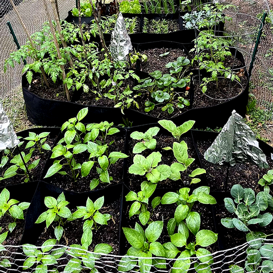 🌱Divided Fabric Grow Bags for Plants