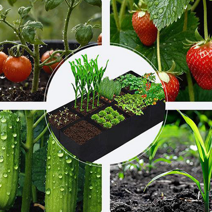 🌱Divided Fabric Grow Bags for Plants