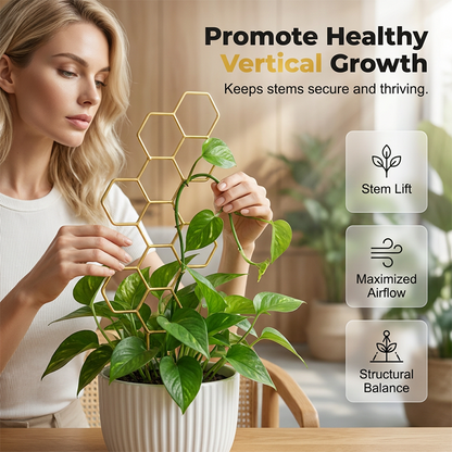 🌿 Honeycomb Plant Trellis – Rust-Proof, Stackable, Easy Install 🐝