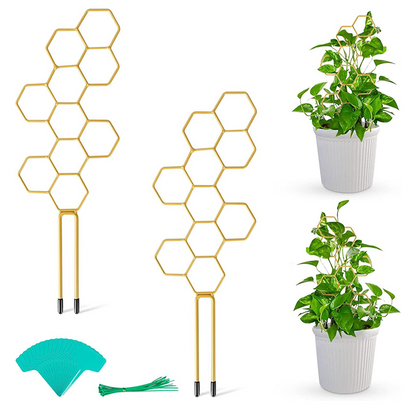🌿 Honeycomb Plant Trellis – Rust-Proof, Stackable, Easy Install 🐝