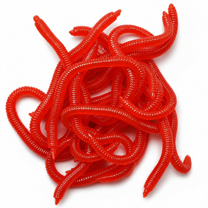 🎣Simulation Earthworm Soft Fishing Lures – Scented, Lifelike, Durable 🌊