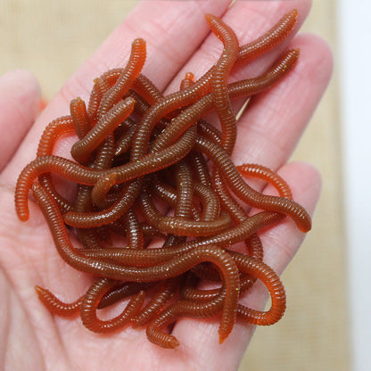 🎣Simulation Earthworm Soft Fishing Lures – Scented, Lifelike, Durable 🌊